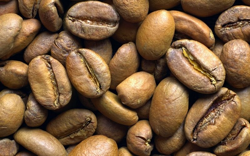 best-light-roast-coffee-beans
